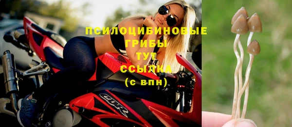 apvp Бородино