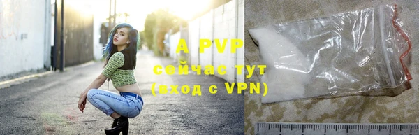 apvp Бородино